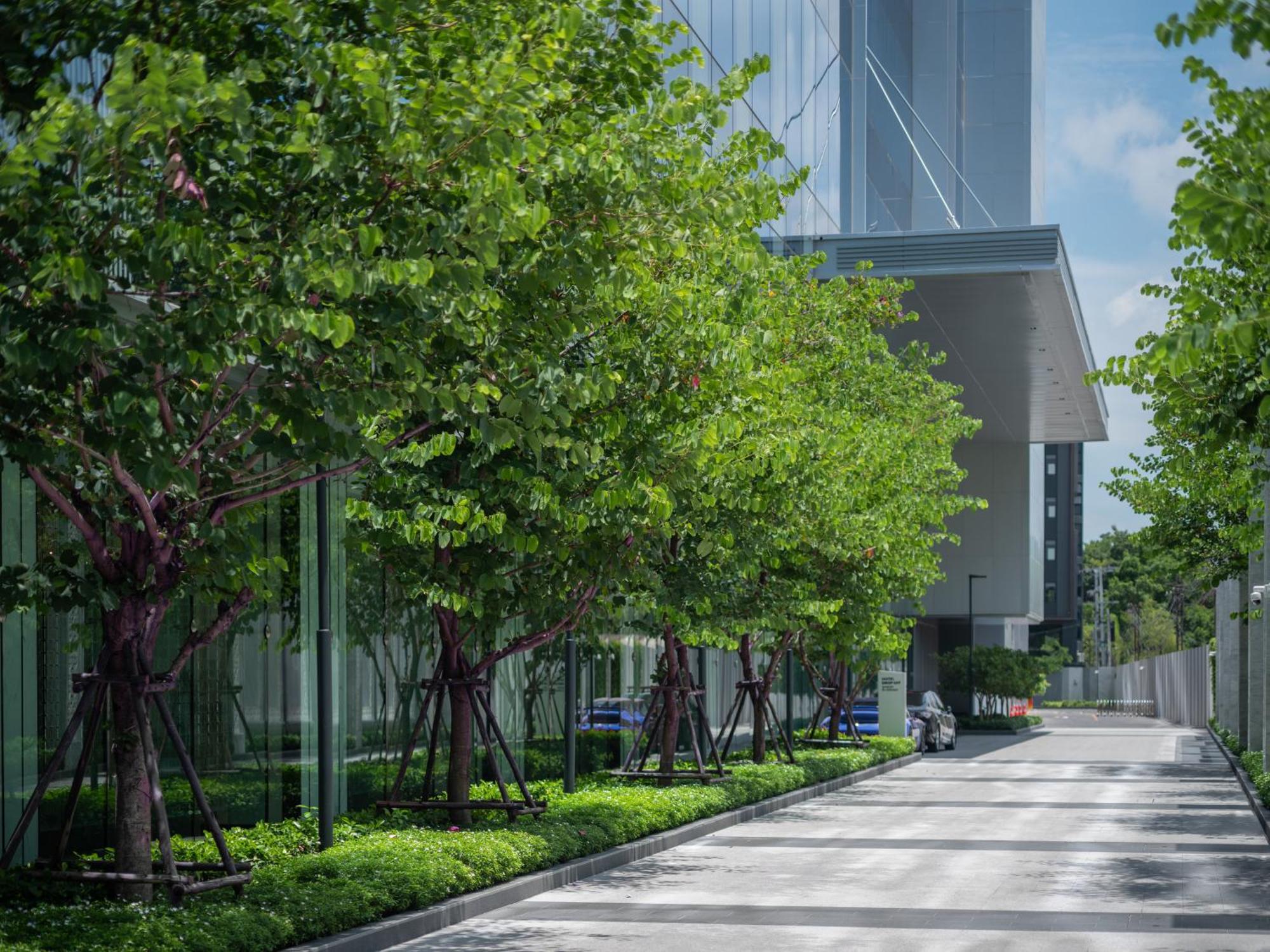 Eastin Grand Hotel Phayathai Banguecoque Exterior foto The park